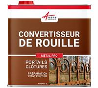 Convertisseur de rouille, Stop rouille | Produit de traitement antirouille curatif | Agit sur le métal en 15 minutes : Métal Pro - 1 L - ARCANE INDUSTRIES