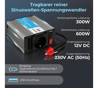 Extralink CAR VOLTAGE CONVERTER 12V - 230V, 300W, PURE SINUS OPIP-300W adaptateur de puissance & onduleur Auto Aluminium