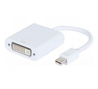 Convertisseur Mini Displayport 1.1 Vers Dvi-d Plastique