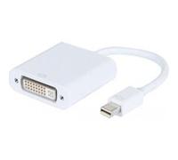 Convertisseur Mini Displayport 1.1 Vers Dvi-d Plastique