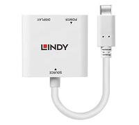 Convertisseur USB Type C vers DisplayPort avec Power Delivery