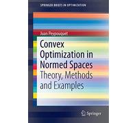 Convex Optimization In Normed Spaces - Theory, Methods And Examples