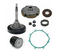 Convient for H 400cc HS400 ATV UTV, Patin d'embrayage Humide, boîtier de Tambour, Joint unidirectionnel