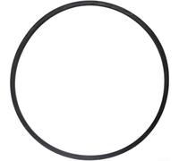 Convient pour la courroie transporteuse en spirale 302040014 pour souffleuse à neige DB7659 DB7659H Pièce de rechange qui offre des résultats hivernaux constants