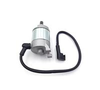 Convient Pour NC250 Pour ZONGSHEN Pour KAYO K6 BSE J5 RX3 Pour Xmotos ZS250GY-3 4 8 Dents Démarreur Démarreur Électrique