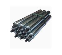 Convoyeur à rouleaux robuste non motorisé revêtu de zinc - Rouleaux en acier de 1,2 x 45 x 50 x 6 cm pour entrepôts, chaînes de montage, manutention de matériaux et utilisation industrielle