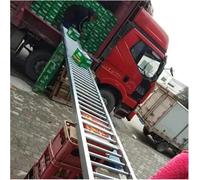 Convoyeur léger non alimenté de 40 x 100 cm pour entrepôts, déchargement, mallette de transport, ligne à roulettes, idéal pour une utilisation commerciale de camion, remorque, solution de déchargement