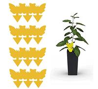 Coocnh Lot de 12 pièges adhésifs jaunes double face pour plantes volantes, insectes inclus
