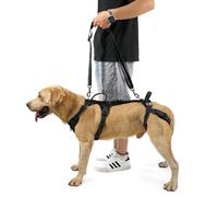 COODEO Élingue Professionnelle pour Soutien des Pattes Arrières de Chien - Aide Post-Chirurgie ACL/TPLO & Chiens Âgés, Lavable en Machine, Respirante, avec Bordures Réfléchissantes. (Noir, XL)
