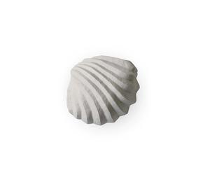 Cooee Design Sculpture The Clam Shell 13 cm Limestone