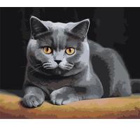 Cooiiye Peinture par Numéros Adultes Kits de Peinture à L'huile,avec cadre Bricolage Creatif Peinture Numero,avec Pinceaux et Acryliques Numero d'Art Artisanat Maison Décoration,Animal chat 30x40 cm