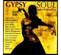 Cook - Gypsy Soul-New Flamenco