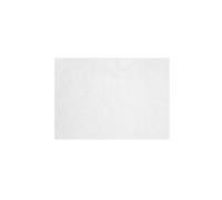 COOKER KING Papier pour barbecue Papier pour barbecue Papier absorbant l'huile Barbecue Spécial Commercial Ménage Four Plaque de cuisson Tapis Papier Papier graissé en silicone 50 pièces