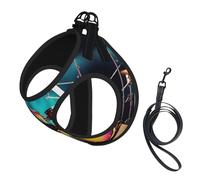 Cool Drums Ensemble harnais pour chien, 2 boucles, gilet pour chien, clip avant anti-traction pour laisse pour chiens de petite et moyenne taille