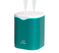 Cool Mist Humidifier 2l, Mild Night Light, Silent Running, Double Spray