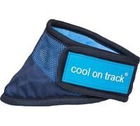 Cool on Track - Bandana cache-cou rafraîchissant pour chiens, Taille : M