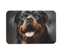 Cool Rottweiler Dog Art Diatomée Tapis de bain absorbant l'humidité et la saleté, paillasson avec dos en caoutchouc antidérapant, tapis de sol pour salle de bain, baignoire, douche, évier