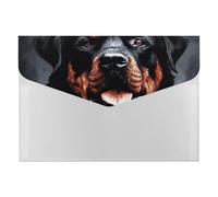 Cool Rottweiler Organiseur de documents en accordéon à 6 poches avec étiquettes, dossiers de documents de voyage, enveloppes en plastique avec fermeture à pression, 33 x 23 cm