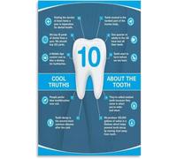 Cool Teeth Facts Poster Office Classroom Decor