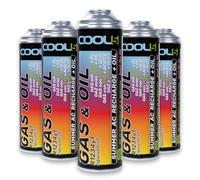 Cool5 Summer AC Recharge + huile - Réfrigérant avec huile - R1234YF gaz de rechange pour climatisation de voiture - Kit de recharge pour climatisation de voiture - Pour voiture à partir de 2017 - 290