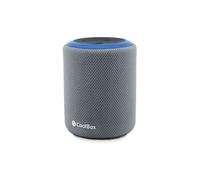 CoolBox Haut-parleur Bluetooth 5.3 Drop G231, Protection IPX6, Inclus Câble de Aux-in, lecteur microSD, 6h de Autonomie, Recharge USB-C en 2,5h. Couleur gris