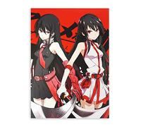 CoolChange Poster Akame GA Kill! de Grande qualité sur Plaque en Mousse Rigide | Affiche 30x42cm | Motif: Akame Zero