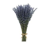 CoolCrafts Bouquet de Lavande Séchée 400 Brins Bouquet de Lavande Bleu pour la Décoration