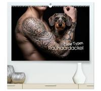Coole Typen - Rauhaardackel (hochwertiger Premium Wandkalender 2026 DIN A2 quer), Kunstdruck in Hochglanz: Rauhaardackel sind die Super-Models mit Herz und Ausstrahlung