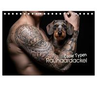 Coole Typen - Rauhaardackel (Tischkalender 2026 DIN A5 quer), CALVENDO Monatskalender: Rauhaardackel sind die Super-Models mit Herz und Ausstrahlung