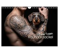 Coole Typen - Rauhaardackel (Wandkalender 2026 DIN A4 quer), CALVENDO Monatskalender: Rauhaardackel sind die Super-Models mit Herz und Ausstrahlung