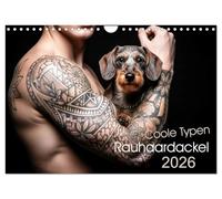 Coole Typen - Rauhaardackel (Wandkalender 2026 DIN A4 quer), CALVENDO Monatskalender: Rauhaardackel sind die Super-Models mit Herz und Ausstrahlung