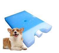 Cooler Ice Pack - Solution de refroidissement , gel sans BPA, non toxique, congélation et recongélation rapides, design fin et peu encombrant, accessoires pour , randonnée, excursions à