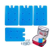 Cooler icePacks | 4 Pieces Small Reusable Bag | |Four Reusable icePacks in A Compact, Portable Design for Keeping Food Chilled During Travel, Beach Days, Camping, Picnics, Fisdoor Road Trip