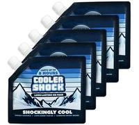 Cooler Shock Packs de glace réutilisables pour glacière (16,5 x 19,1 cm) - Packs de congélation froids durables pour glacières, boîtes à déjeuner - pour le camping, la pêche, les voyages en voiture