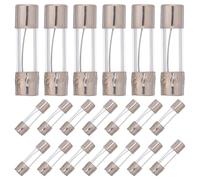 COOLHIYA Lot de 100 fusibles 10 A 5 x 20 mm - Fusibles rapides en tube de verre pour multimètres et appareils électroniques - Protection contre les surcharges pour petits appareils