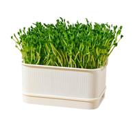 COOLHOOD Jardinière hydroponique moderne avec couvercle - Plateau de germination pour haricots, pois, herbe de blé, culture de plantes en pierre