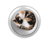 Cooling Dog Bed, 15.7 inch Aluminium Cool Pet Bed for Cats, Non-Slip Portable Washable Cot 15.75x15.75x1.97 inches, Hot Weather, Indoor Outdoor Use, Travel Crate Floor
