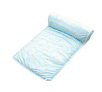 Cooling Mat for Cats and Dogs, Cute Ice Pad with Colorful Print, Summer Cool Bed with Pillow, Portable Pet Cooling Pad for Outdoor, Camping, and Home Use, 250g/450g