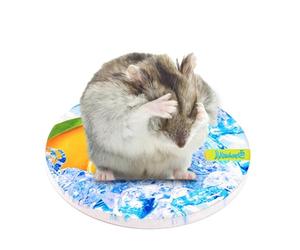 Cooling Mat For Cats - Ice Silk Self Cooling Dog Crate Pad, Features Scratch Proof Hydrophilic Technical Fabric, Lowers Pet Body Temperature Safely Without Dangerous Leaking Gels, Fits Seaml