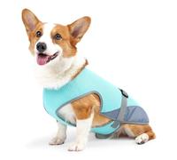 Cooling Vest Canine Apparel - Heat Relief Wear for Summer Adventures | Polyester Mesh Fabric with Evaporative Technology, UV Shield Coverage, Adjustable Buckle Design, Outdoor Walking Hiking Beach