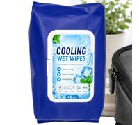 Cooling Wipes for Hot Weather - 40 Pieces Mint Quick Dry Portable Nonwoven | Hot Weather Body Cooling Wipes for Outdoor Workout Camping Hiking Running Beach Gym Home Office Work