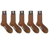 COOLORFOOL Pack de 5 Chaussettes homme fil d'écosse de luxe - fines douces - 100% coton bleu Noisette T41/42