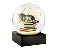CoolSnowGlobes Boule à Neige Chat sur Livres