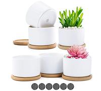 Coolty Lot de 6 Pots de Fleurs Blancs en céramique avec Plateau en Bambou et Tampon en Maille pour décoration de Maison, Bureau, Anniversaire, Mariage, Festival