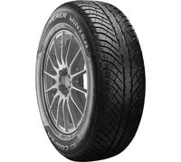 Cooper Discoverer Winter 205/55R16 91H 3PMSF TL DOT23 D B 71 B