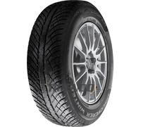 Cooper Discoverer Winter ( 255/55 R19 111V XL )