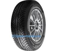 Cooper Discoverer Winter ( 255/55 R19 111V XL )