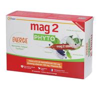 Mag2 Phyto Energie Complément Alimentaire Magnésium B6 Ginseng Nervosité Fatigue 30 Ampoules