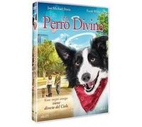 Cooper un amour de chien (Angel Dog) G
