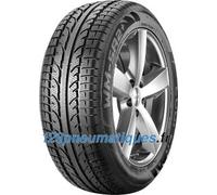 Cooper WM SA2+ ( 195/65 R15 91T )
